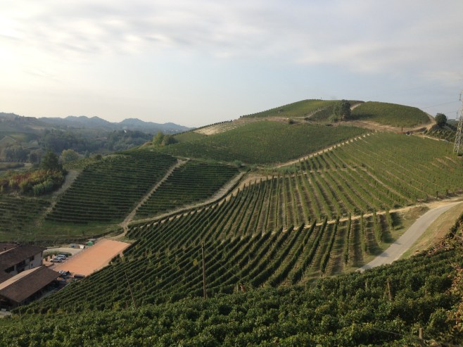 Can't wait for Spring in Italy!